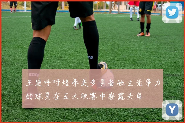王楚呼吁培养更多具备独立竞争力的球员在五大联赛中崭露头角