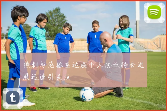 热刺与范赫克达成个人协议转会进展迅速引关注
