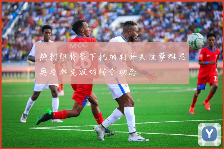 热刺即将签下托纳利并关注萨维尼奥与加克波的转会动态